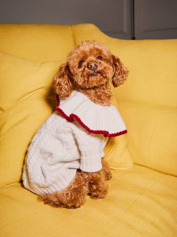 Chip Regenerative Wool Dog Sweater - Arctic